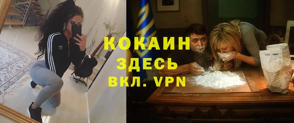 индика Козловка