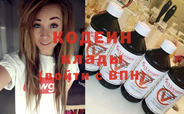 индика Козловка