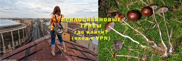 альфа пвп Киреевск