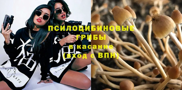 прущая мука Каменск-Шахтинский