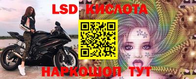 тгк Новодвинск