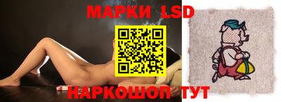 тгк Новодвинск