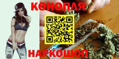 тгк Новодвинск