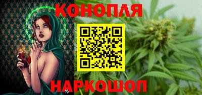 тгк Новодвинск