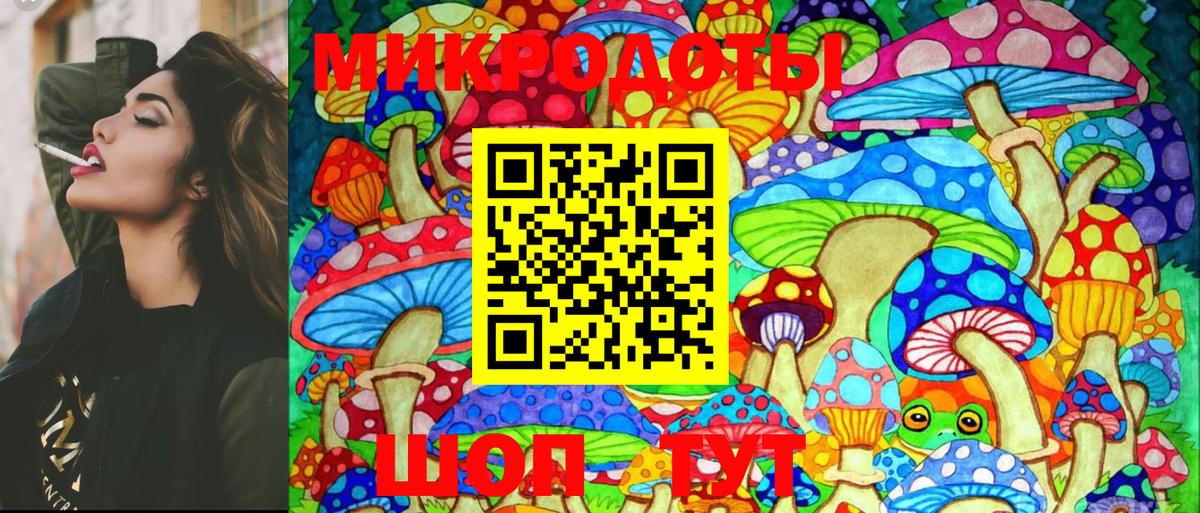 Псилоцибиновые грибы Psilocybe  Вход с VPN  Киреевск 